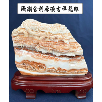 珊瑚舍利原礦吉祥龍雕（V947）
