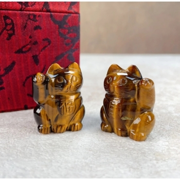 黃虎眼招財對貓（P21）