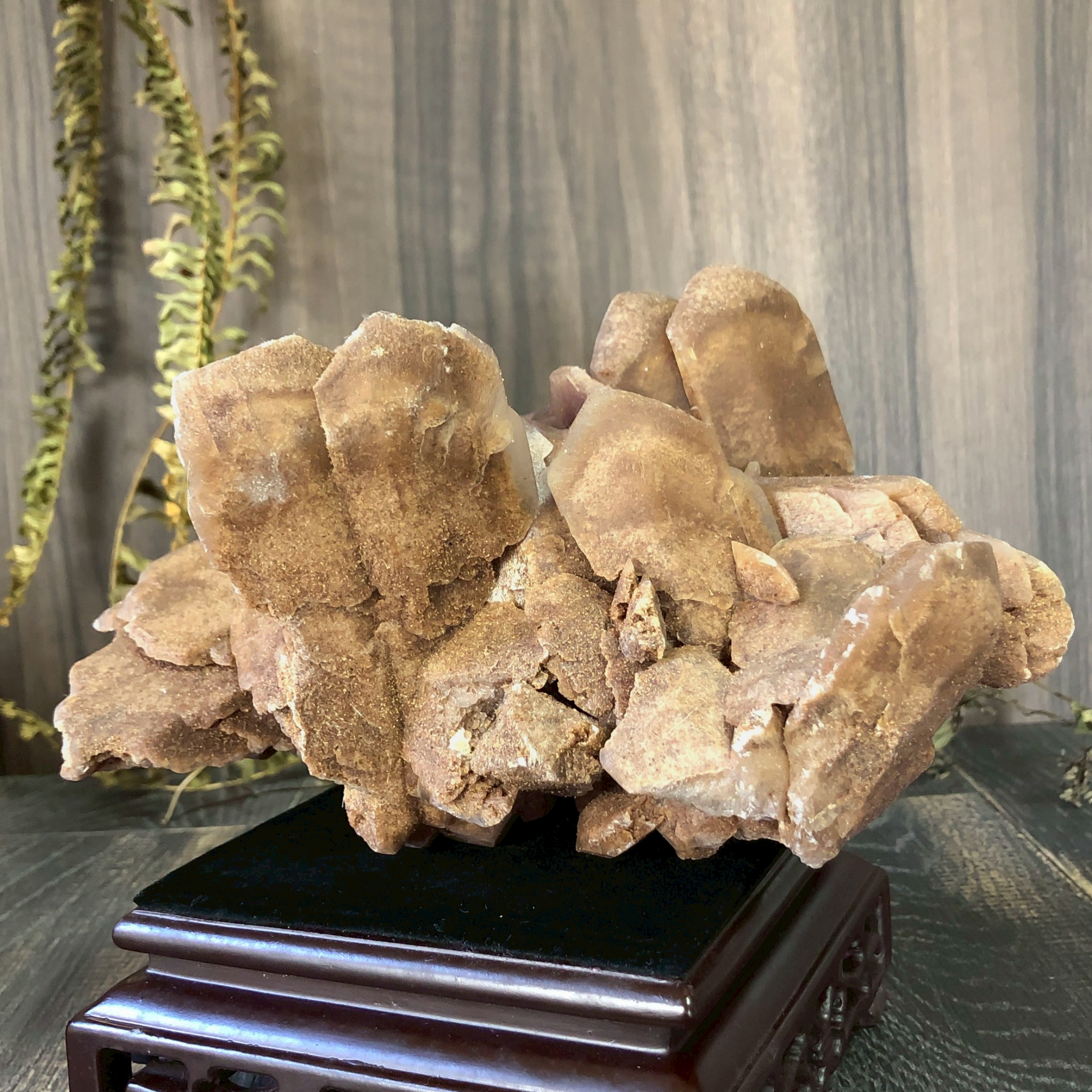 玄關決定行運×沙漠玫瑰的能量密碼